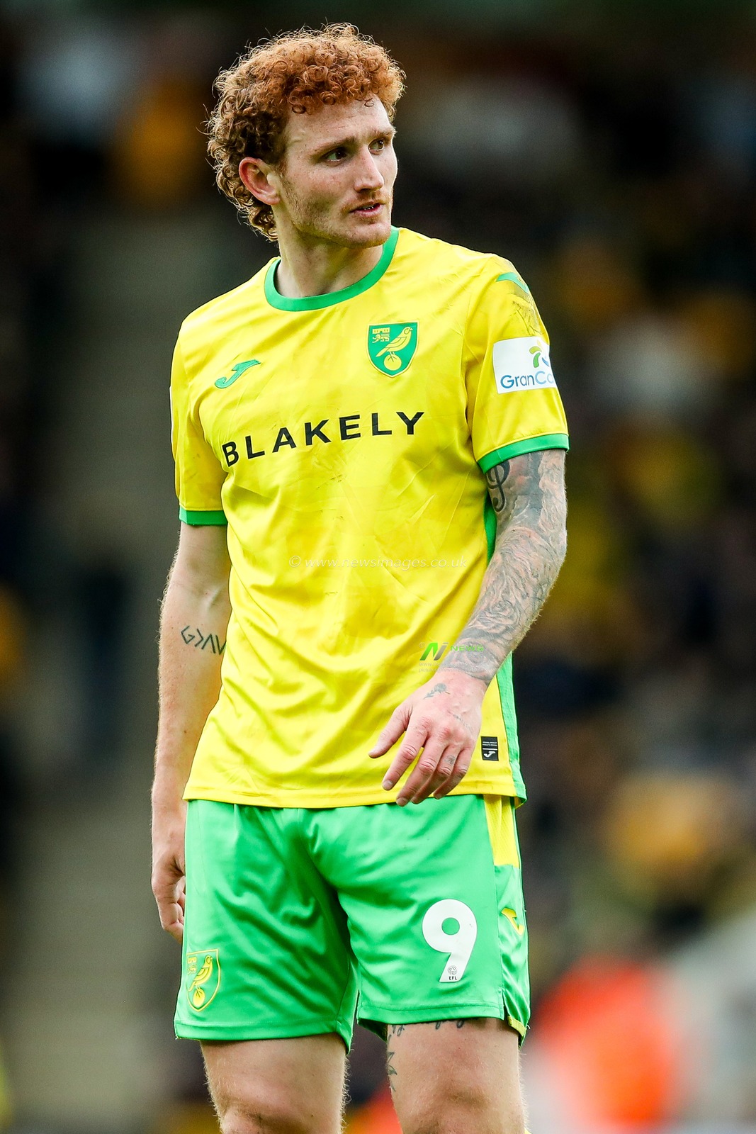 Josh Sargent of Norwich City looks on during the Sky Bet Championship match Norwich City vs West Bromwich Albion at Carrow Road, Norwich, United Kingdom, 29th March 2025

(Photo by Izzy Poles/News Images)