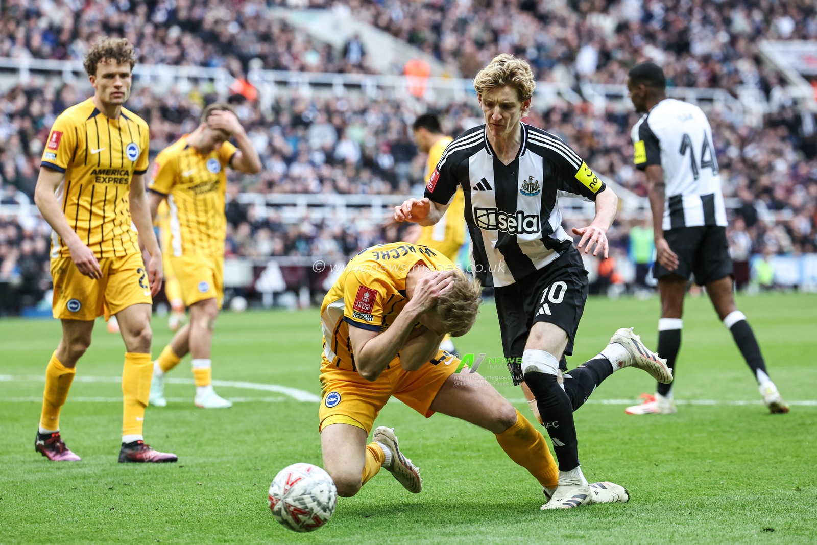 Anthony Gordon of Newcastle United pushes Jan Paul van Hecke of Brighton & Hove Albion in the head which leads to a straight red card during the Emirates FA Cup 5th Round Newcastle United vs Brighton and Hove Albion at St. James's Park, Newcastle, United Kingdom, 2nd March 2025

(Photo by Mark Cosgrove/News Images)