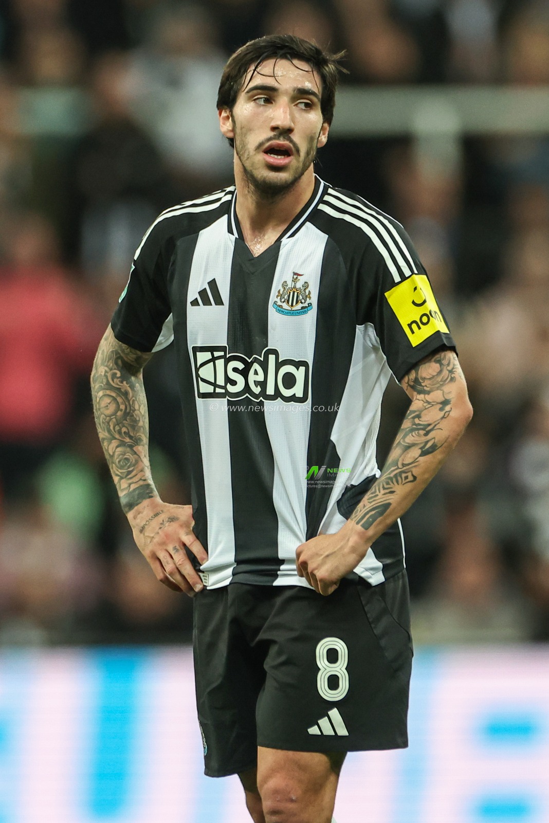 Sandro Tonali of Newcastle United during the Carabao Cup Last 16 match Newcastle United vs Chelsea at St. James's Park, Newcastle, United Kingdom, 30th October 2024

(Photo by Mark Cosgrove/News Images)