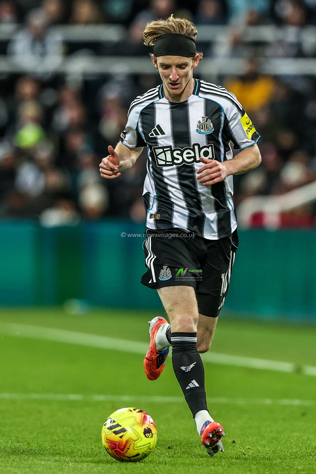 Anthony Gordon of Newcastle United during the Premier League match Newcastle United vs Tottenham Hotspur at St. James's Park, Newcastle, United Kingdom, 2nd December 2025

(Photo by Alfie Cosgrove/News Images)

*** GER AUT SUI OUT ***