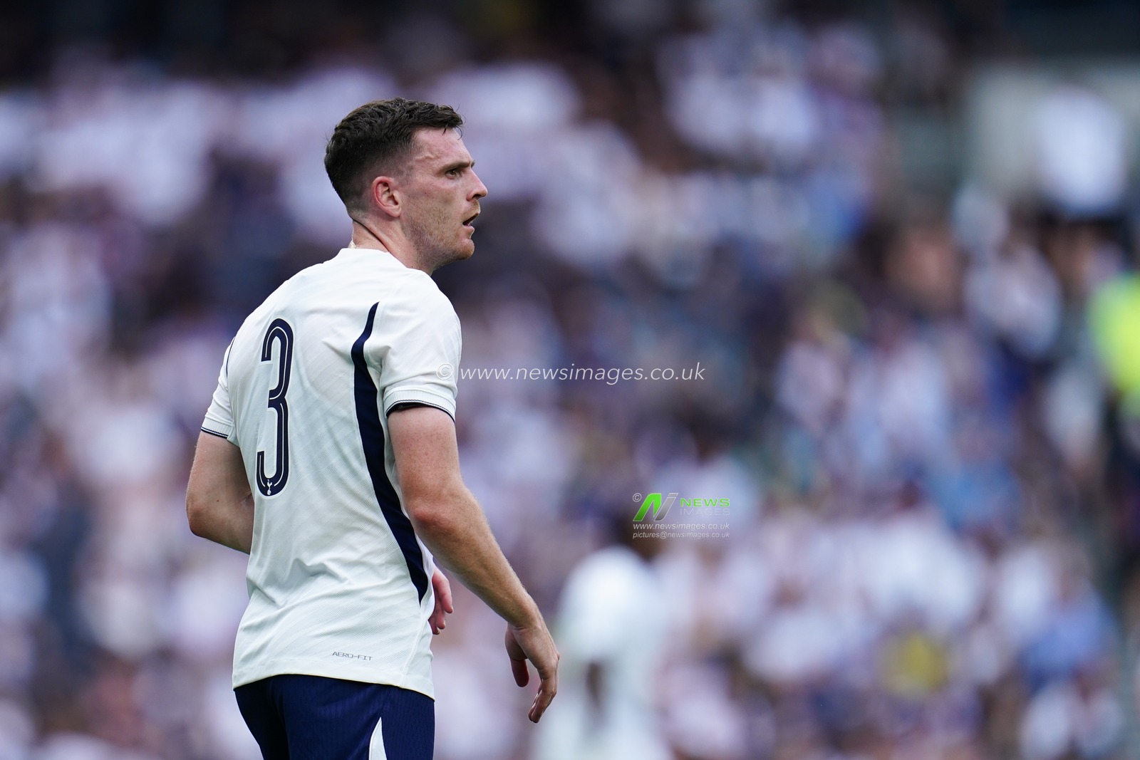 pre-season friendly: Tottenham Hotspur v Hoffenheim