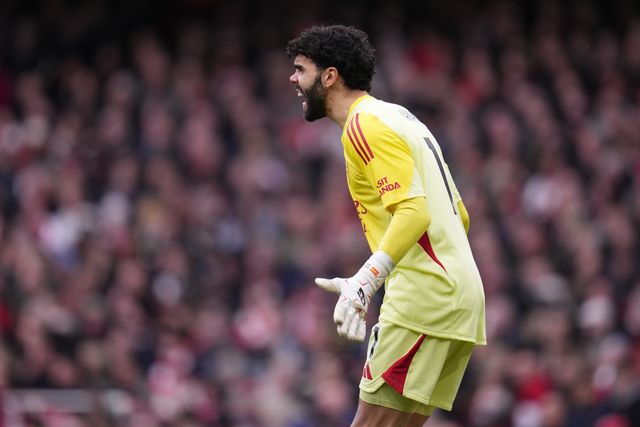 Premier League Arsenal v Sunderland