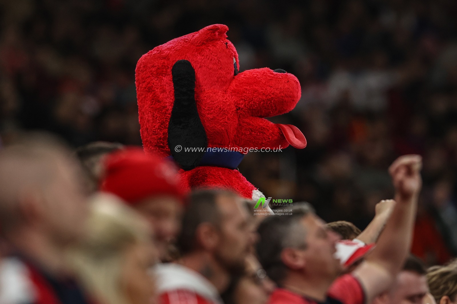 Rover the Dog during the 2025 Betfred Super League Grand Final Hull KR v Wigan Warriors at Old Trafford, Manchester, United Kingdom, 11th October 2025

(Photo by Alfie Cosgrove/News Images)