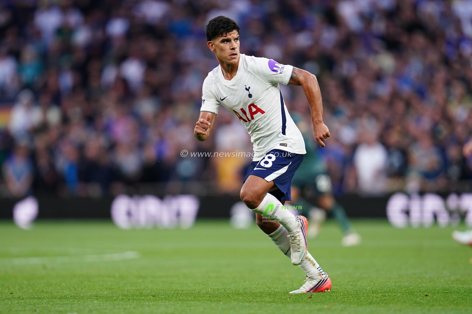 Premier League: Tottenham Hotspur v Everton
