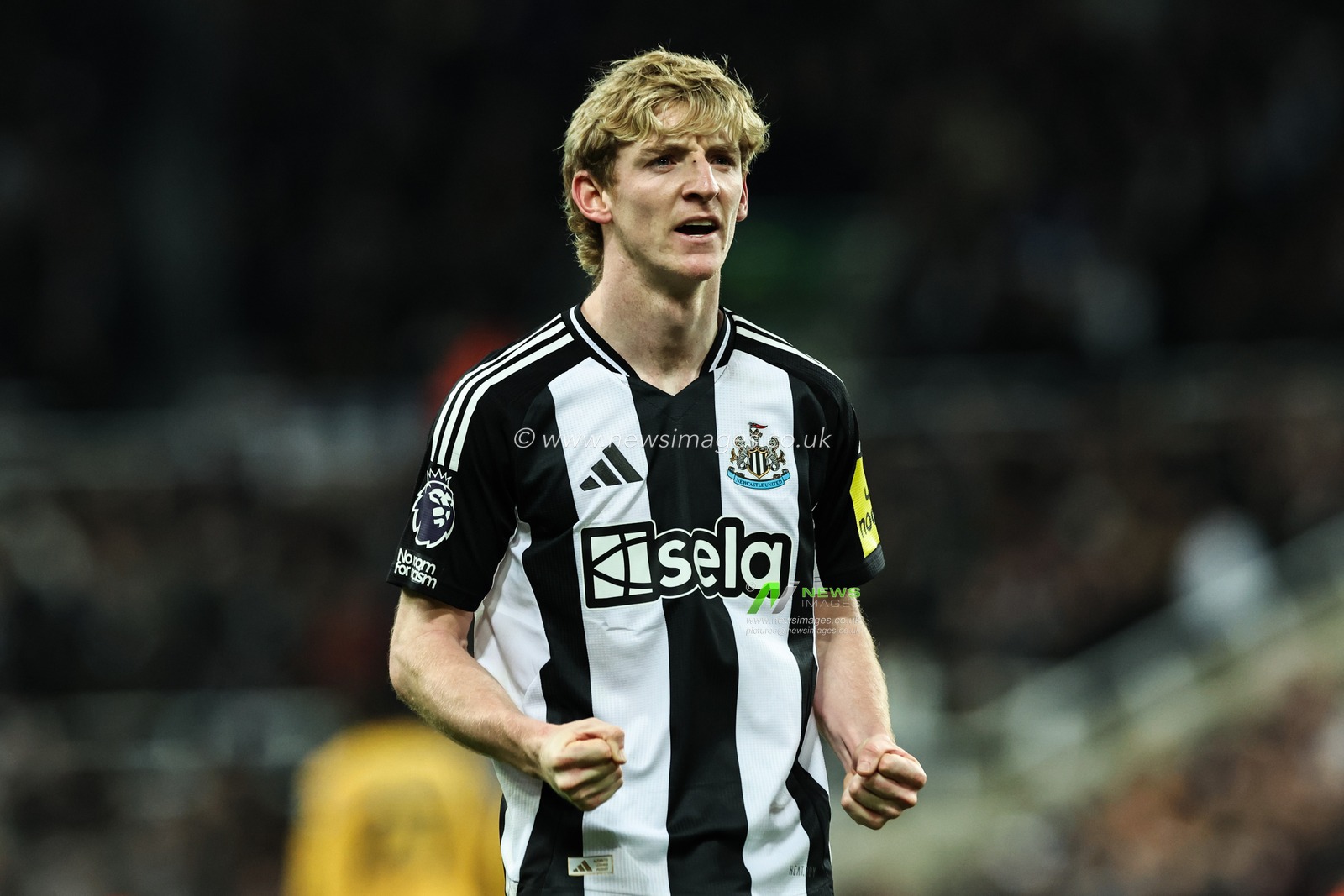 Anthony Gordon of Newcastle United celebrates his goal to make it 3-0 during the Premier League match Newcastle United vs Wolverhampton Wanderers at St. James's Park, Newcastle, United Kingdom, 15th January 2025

(Photo by Mark Cosgrove/News Images)