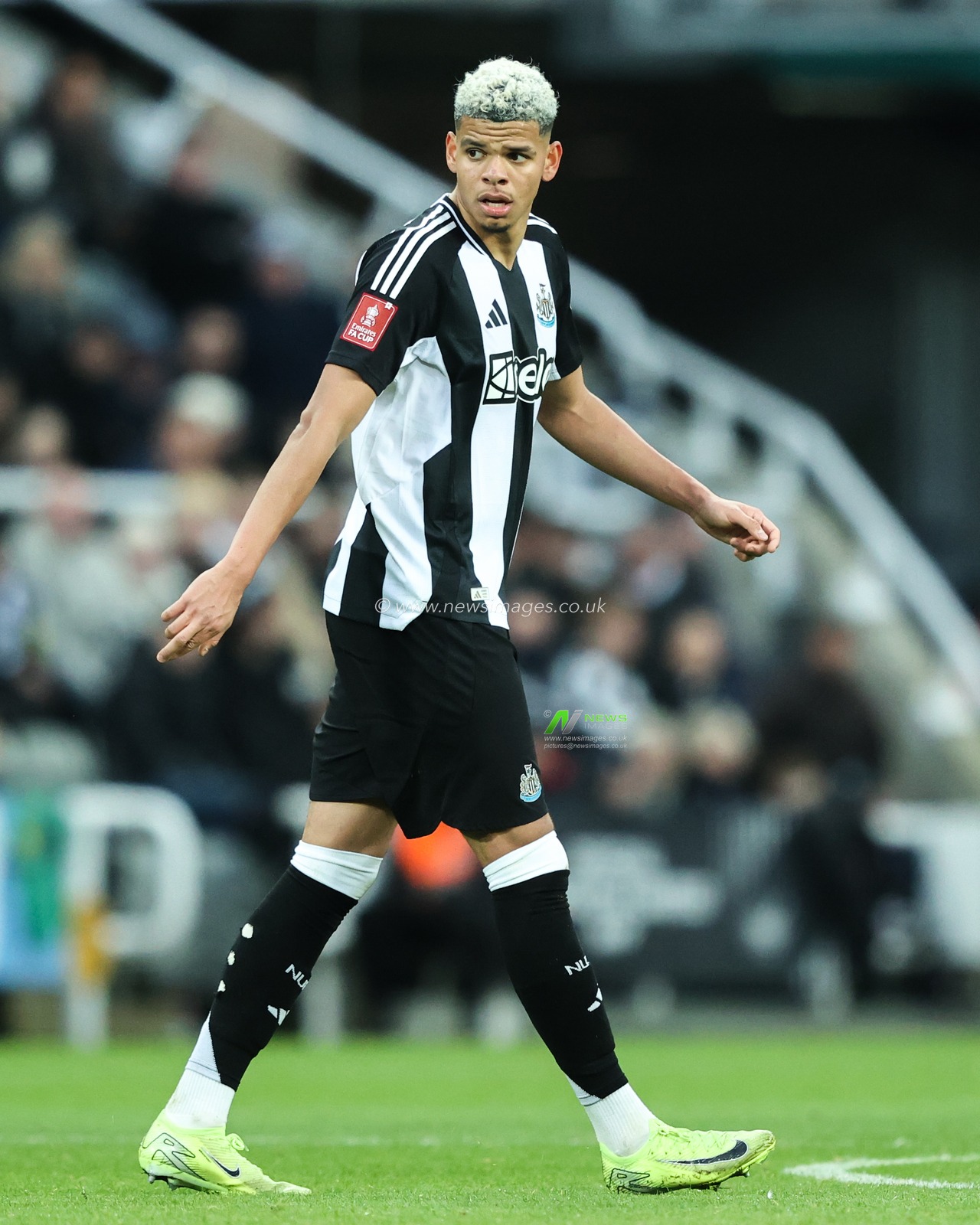 William Osula of Newcastle United during the Emirates FA Cup 3rd Round match Newcastle United vs Bromley FC at St. James's Park, Newcastle, United Kingdom, 12th January 2025

(Photo by Alfie Cosgrove/News Images)
