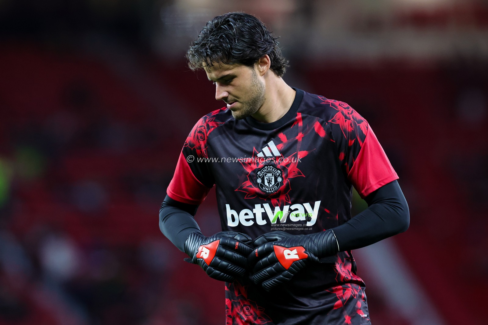 Carabao Cup round 3 Manchester United v Brighton & Hove Albion
