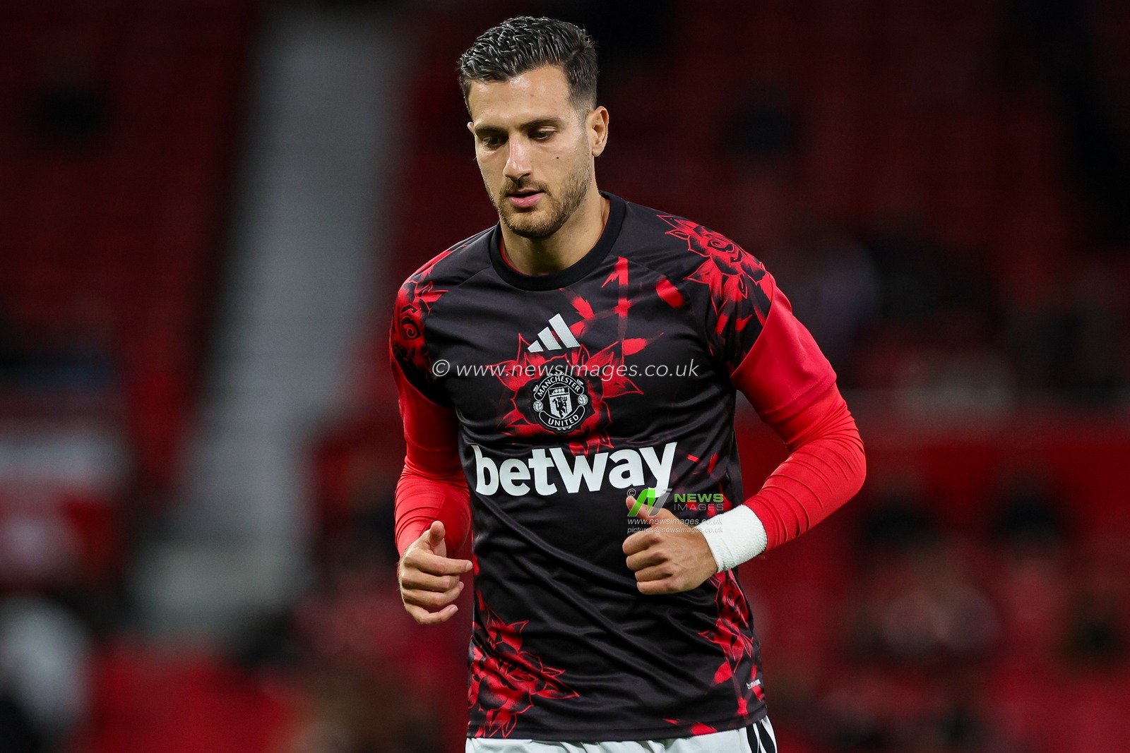 Carabao Cup round 3 Manchester United v Brighton & Hove Albion