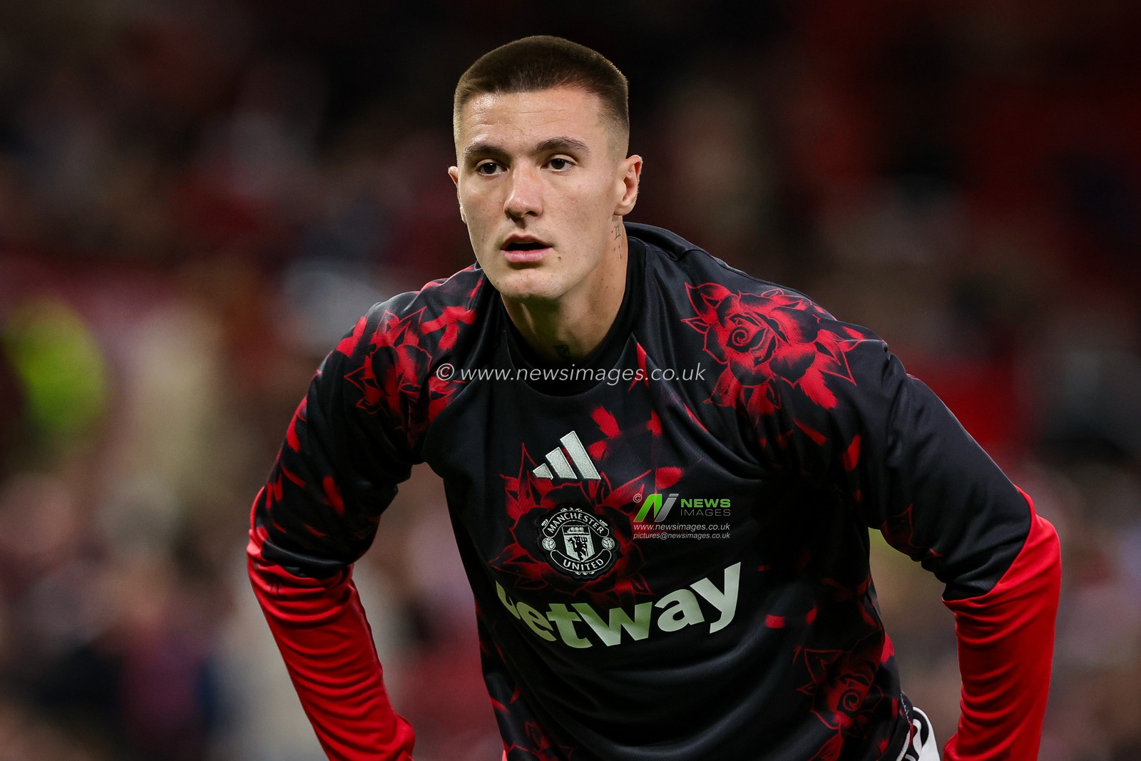 Carabao Cup round 3 Manchester United v Brighton & Hove Albion