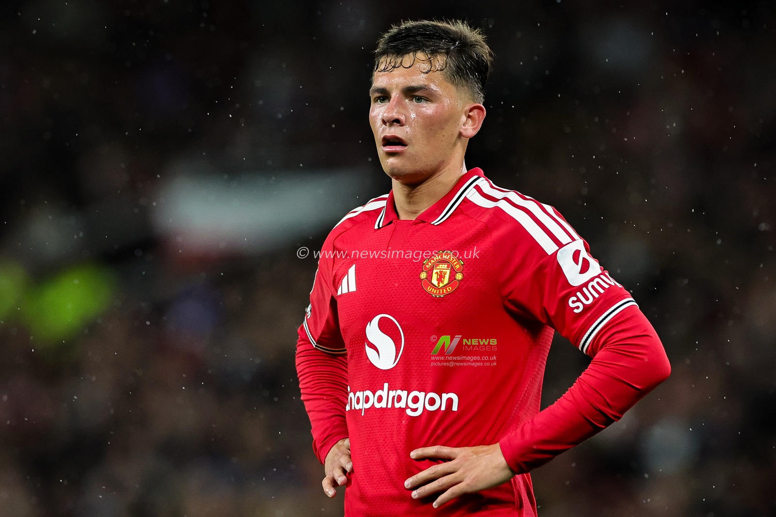 Carabao Cup round 3 Manchester United v Brighton & Hove Albion