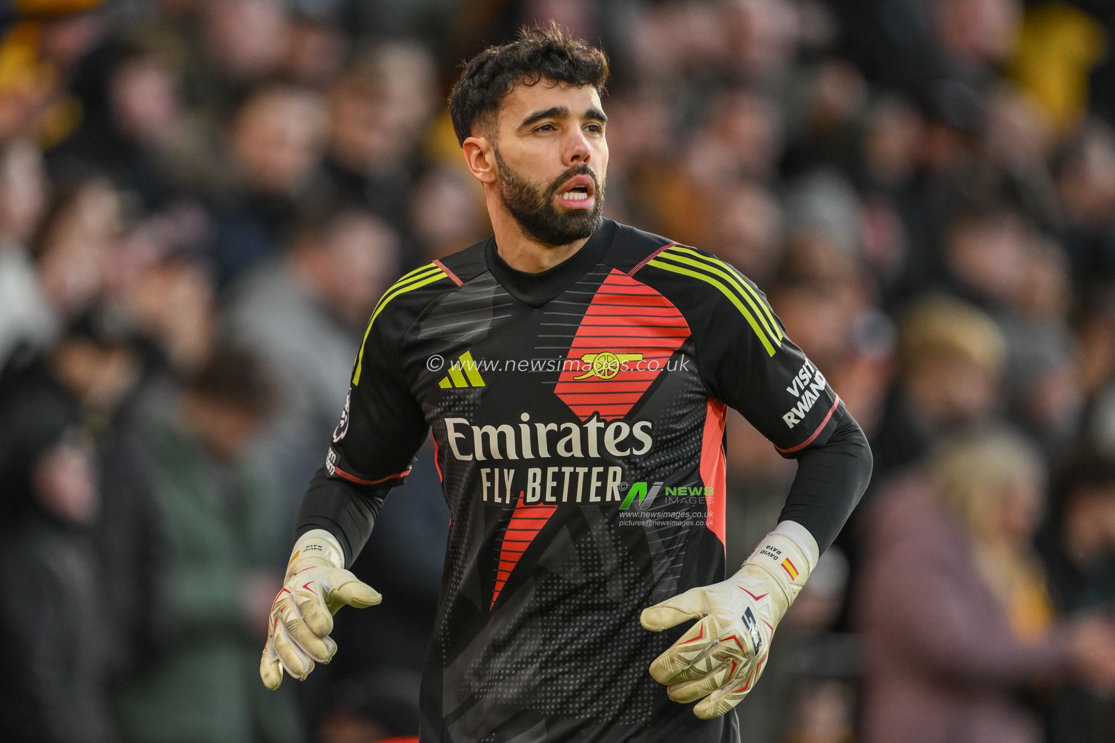 David Raya of Arsenal during the Premier League match Wolverhampton Wanderers vs Arsenal at Molineux, Wolverhampton, United Kingdom, 25th January 2025

(Photo by Craig Thomas/News Images)