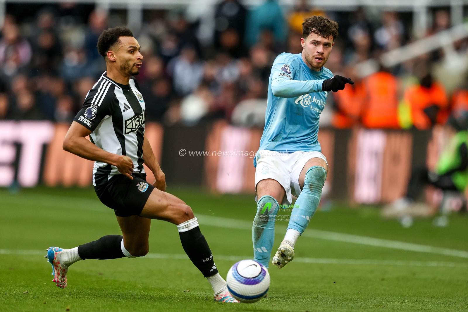 Neco Williams of Nottingham Forest is put under pressure by Jacob Murphy of Newcastle United during the Premier League match Newcastle United vs Nottingham Forest at St. James's Park, Newcastle, United Kingdom, 23rd February 2025

(Photo by Alfie Cosgrove/News Images)