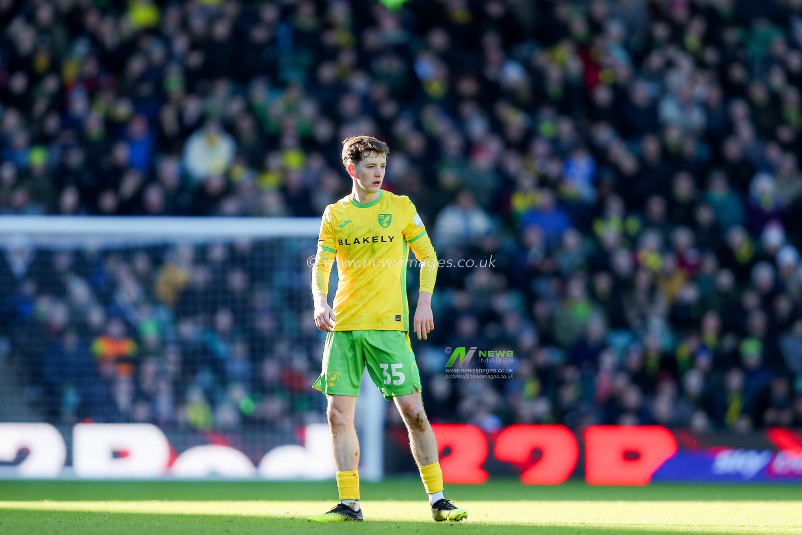 Kellen Fisher of Norwich City looks on during the Sky Bet Championship match Norwich City vs Swansea City at Carrow Road, Norwich, United Kingdom, 25th January 2025

(Photo by Izzy Poles/News Images)