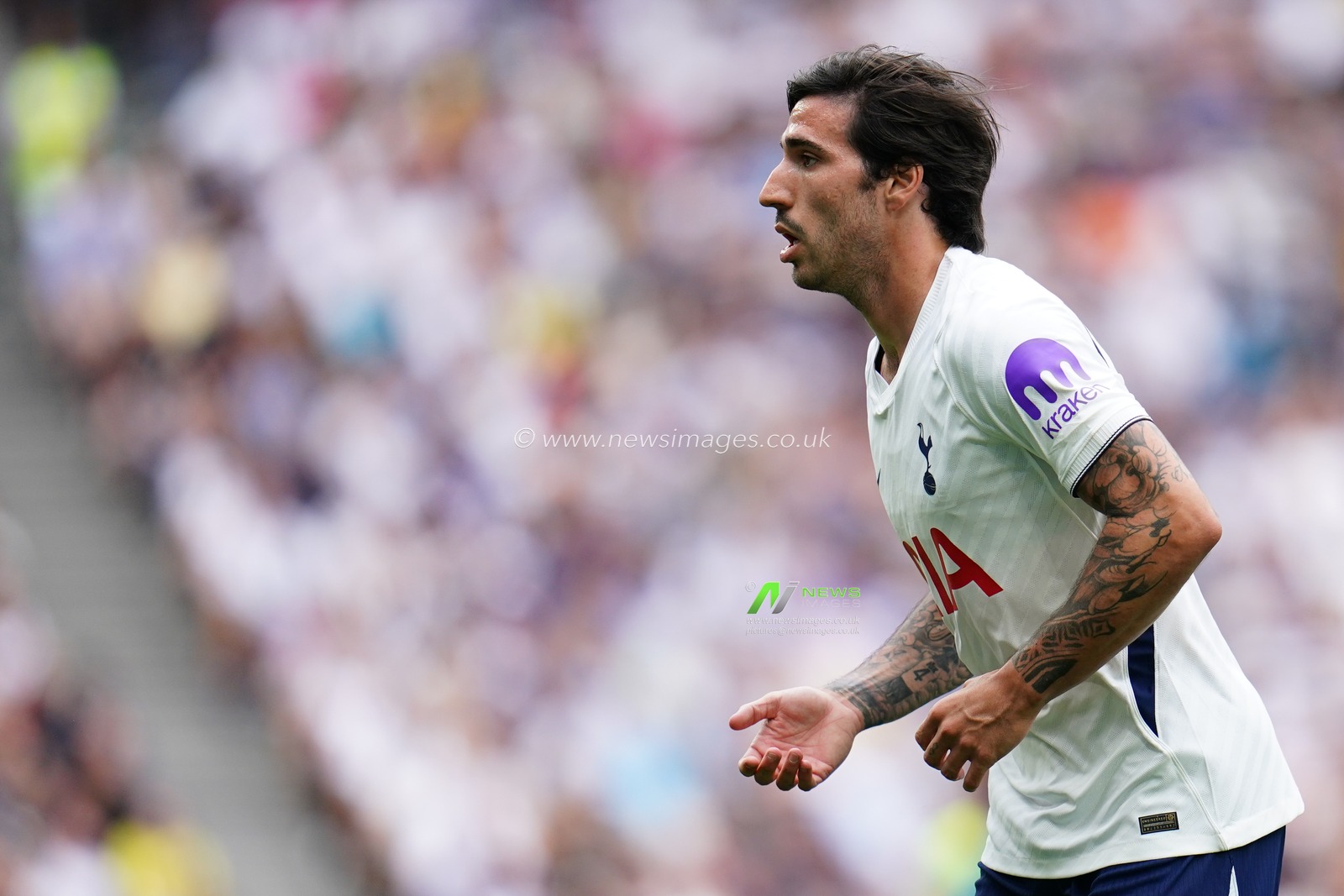 pre-season friendly: Tottenham Hotspur v Hoffenheim