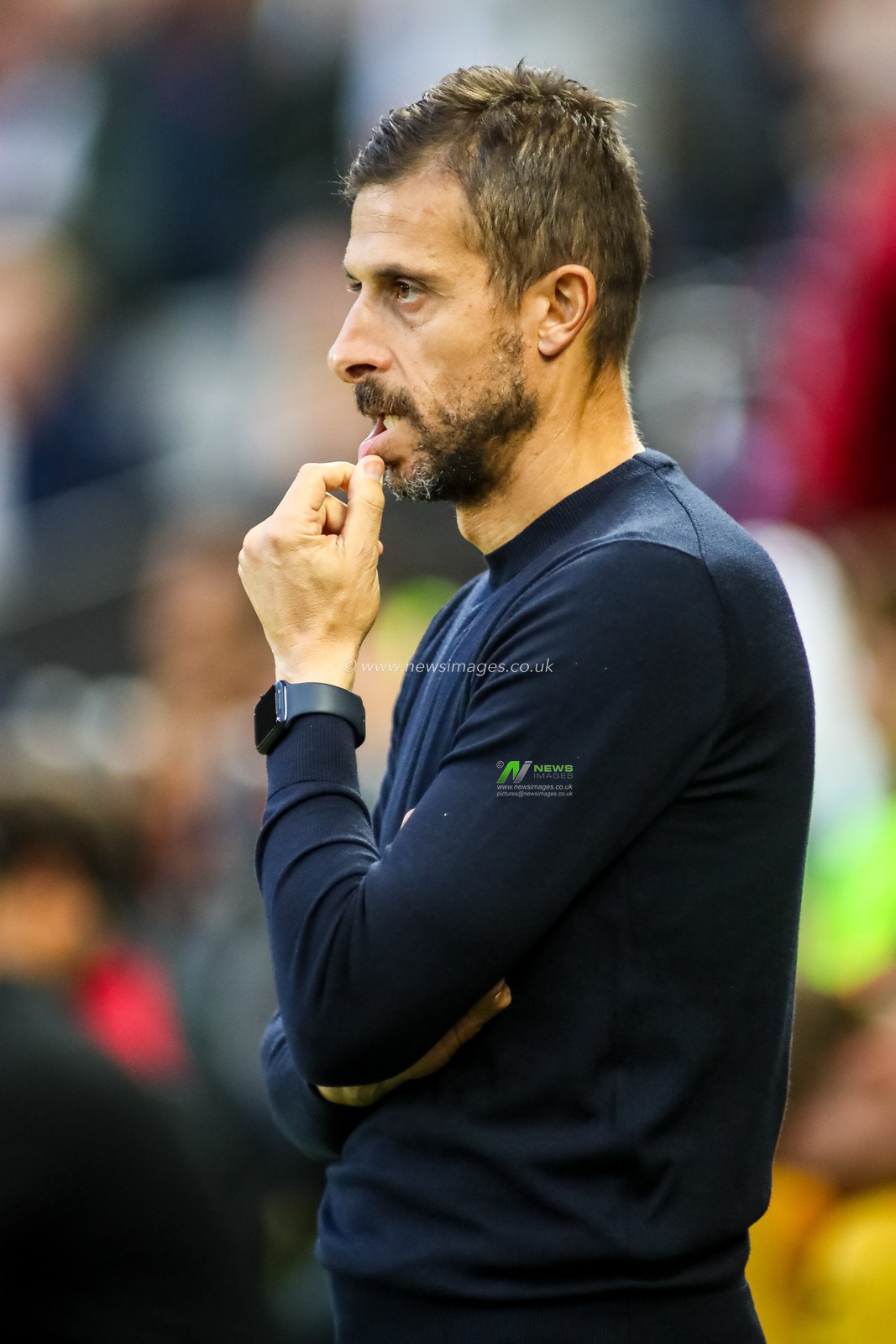 Sky Bet Championship: Swansea City v Watford