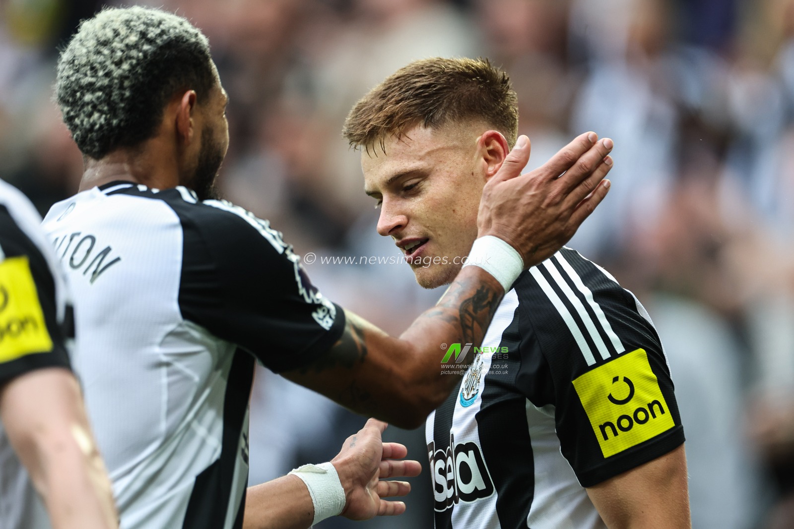 Harvey Barnes of Newcastle United celebrates his goal to make it 1-0 during the Premier League match Newcastle United vs Tottenham Hotspur at St. James's Park, Newcastle, United Kingdom, 1st September 2024

(Photo by Mark Cosgrove/News Images)