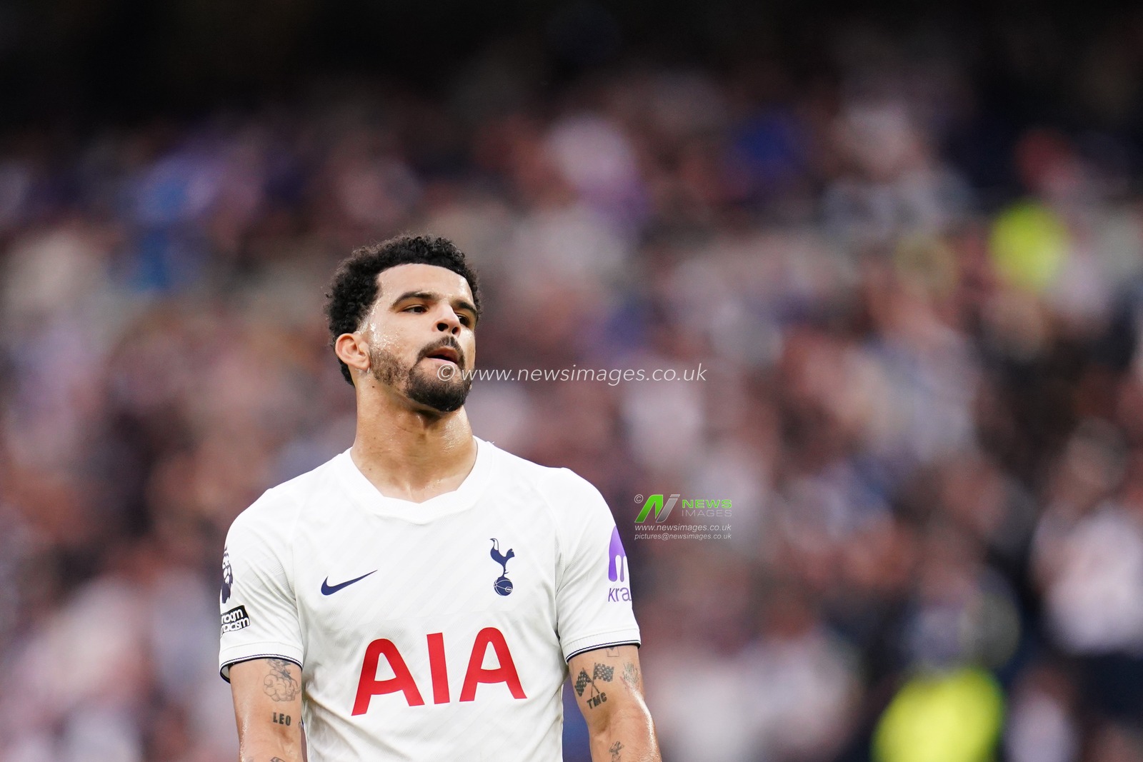 Dominic Solanke of Tottenham Hotspur during the Premier League match Tottenham Hotspur vs Newcastle Untied at Tottenham Hotspur Stadium, London, United Kingdom on 29 August 2026

(Photo by Harvey Murphy/News Images)