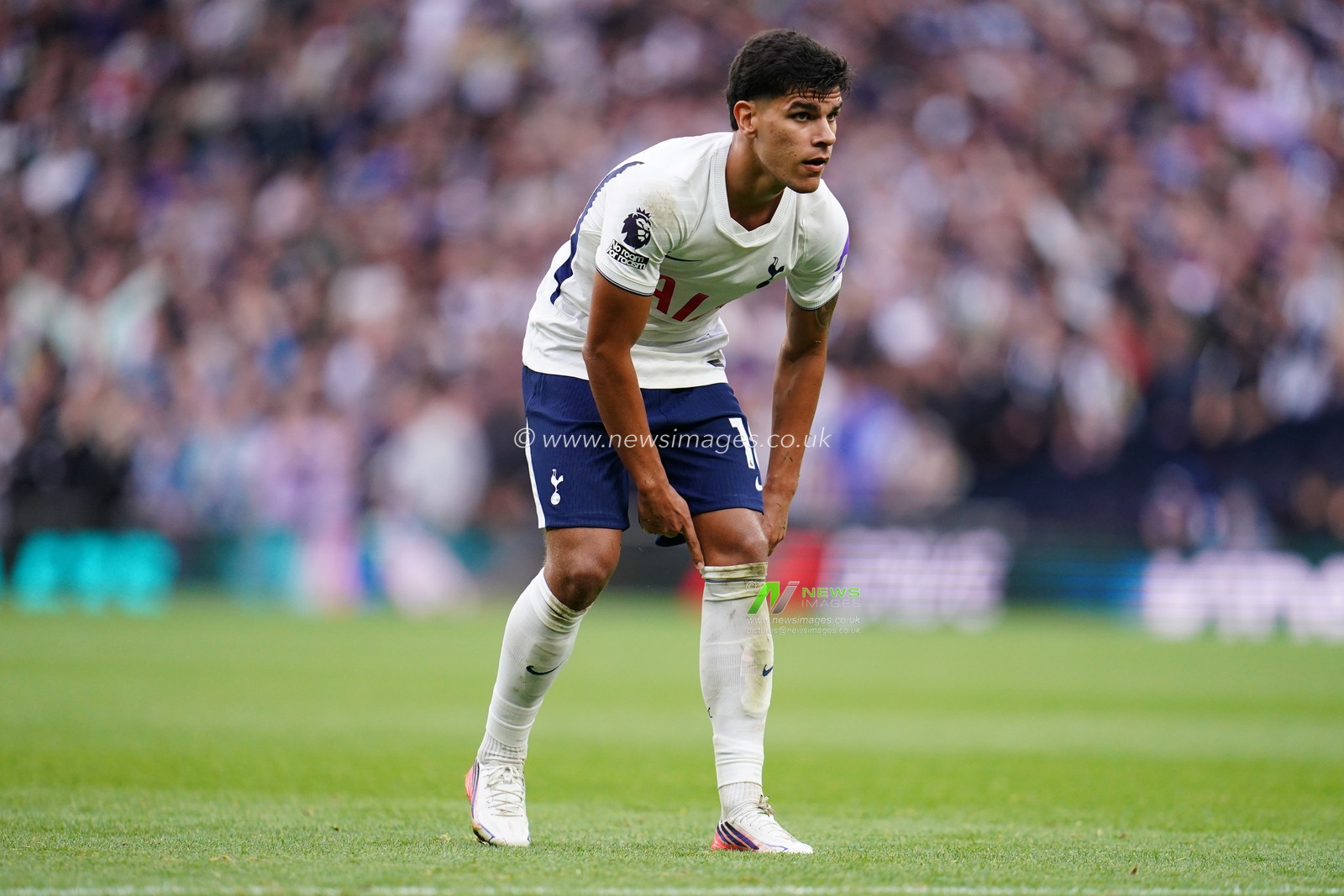 Mateus Fernandes of Tottenham Hotspur during the Premier League match Tottenham Hotspur vs Newcastle Untied at Tottenham Hotspur Stadium, London, United Kingdom on 29 August 2026

(Photo by Harvey Murphy/News Images)