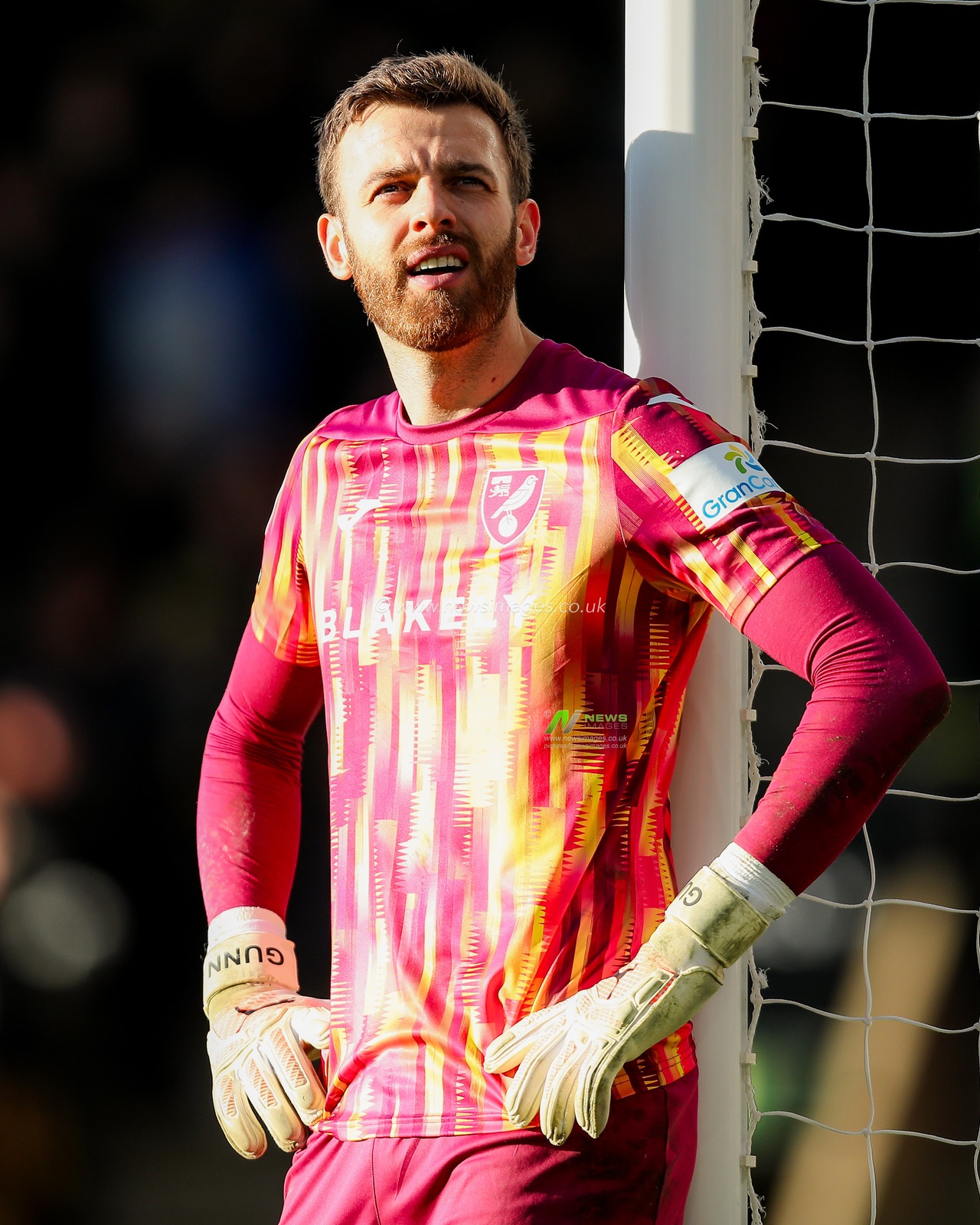 Angus Gunn of Norwich City looks on during the Sky Bet Championship match Norwich City vs Swansea City at Carrow Road, Norwich, United Kingdom, 25th January 2025

(Photo by Izzy Poles/News Images)