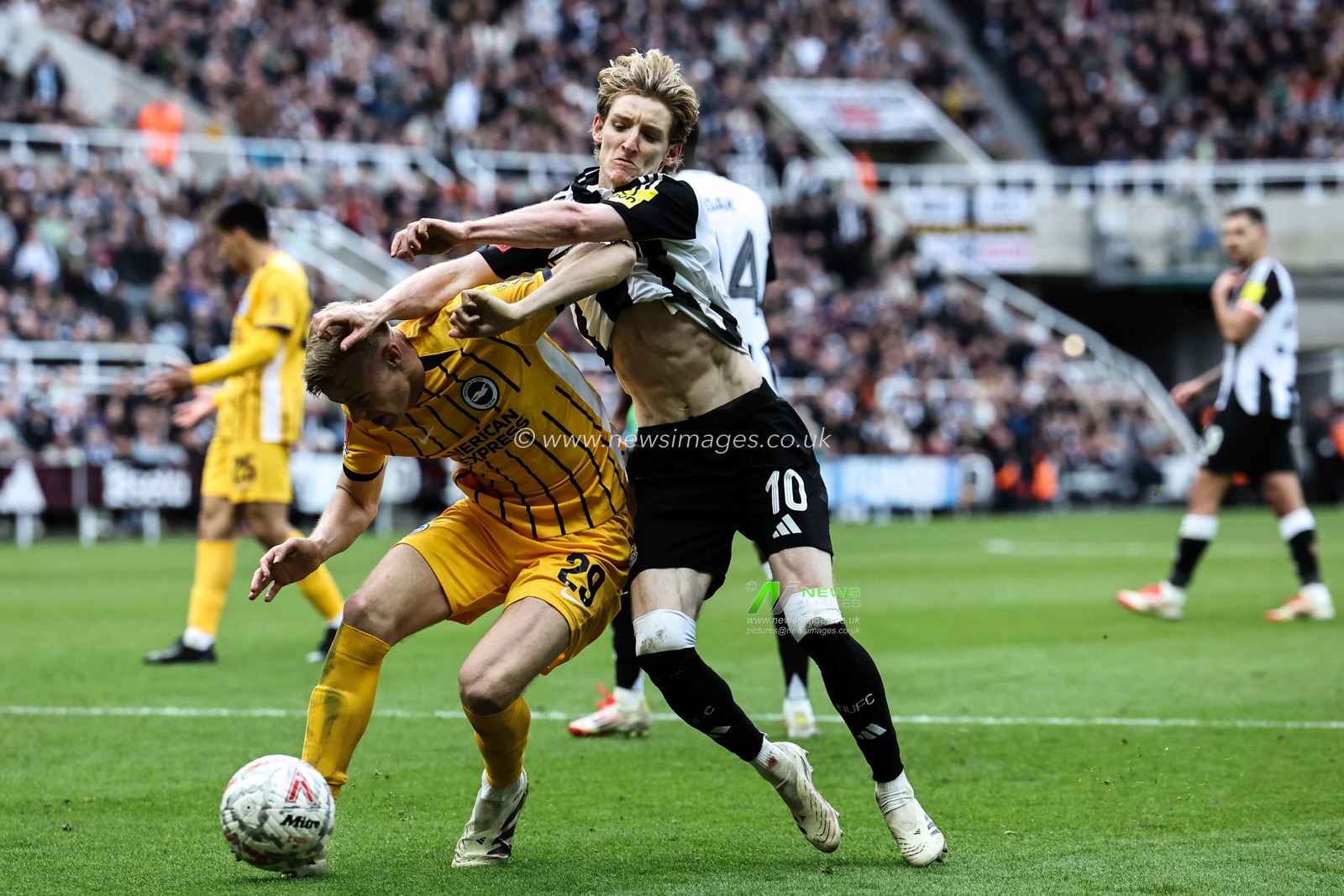 Anthony Gordon of Newcastle United pushes Jan Paul van Hecke of Brighton & Hove Albion in the head which leads to a straight red card during the Emirates FA Cup 5th Round Newcastle United vs Brighton and Hove Albion at St. James's Park, Newcastle, United Kingdom, 2nd March 2025

(Photo by Mark Cosgrove/News Images)