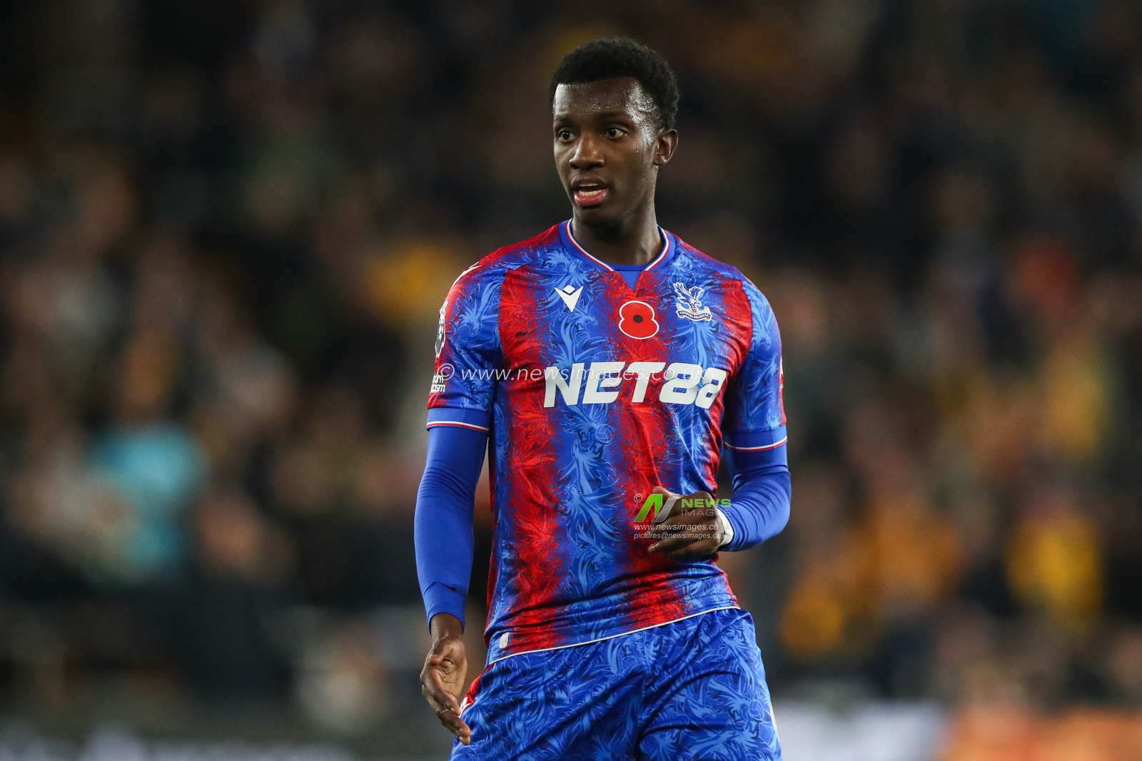 Eddie Nketiah of Crystal Palace during the Premier League match Wolverhampton Wanderers vs Crystal Palace at Molineux, Wolverhampton, United Kingdom, 2nd November 2024

(Photo by Gareth Evans/News Images)