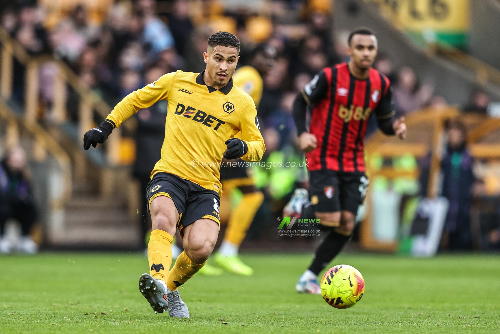 Joao Gomes of Wolverhampton Wanderers passes the ball during the Premier League match Wolverhampton Wanderers vs Bournemouth at Molineux, Wolverhampton, United Kingdom, 31st January 2026

(Photo by Alfie Cosgrove/News Images)