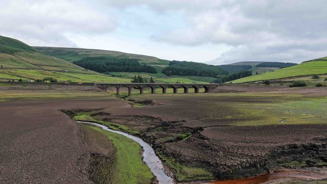 Woodhead Reservoir walter levels drop to one of the lowest points in recent times as grass and other plants start to grow on the Reservoir silt bed at Woodhead, Glossop, United Kingdom, 31st July 2025

(Photo by Mark Cosgrove/News Images)