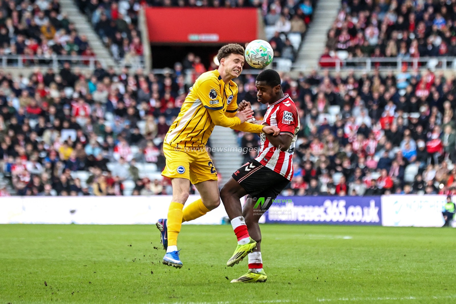 Maxim De Cuyper of Brighton & Hove Albion and Noah Sadiki of Sunderland collide during the Premier League match Sunderland vs Brighton & Hove Albion at Stadium Of Light, Sunderland, United Kingdom on 14 March 2026

(Photo by Alfie Cosgrove/News Images)